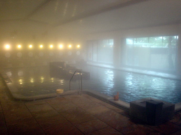 �����Ɖ���@���i�΃O�����h�z�e���y�����s���z