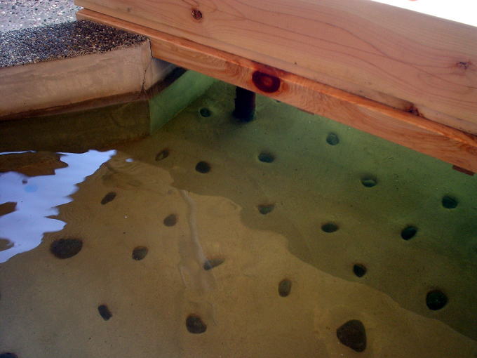 �����Ɖ���@���Ƃ��Ƒ����y�����s���z