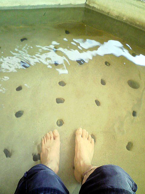 �����Ɖ���@���Ƃ��Ƒ����y�����s���z