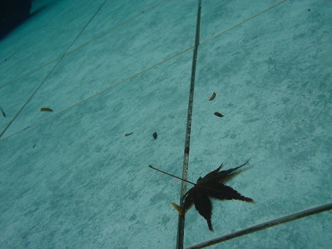 ���ꌧ�@�����Ɖ���@�����فy�����s���z