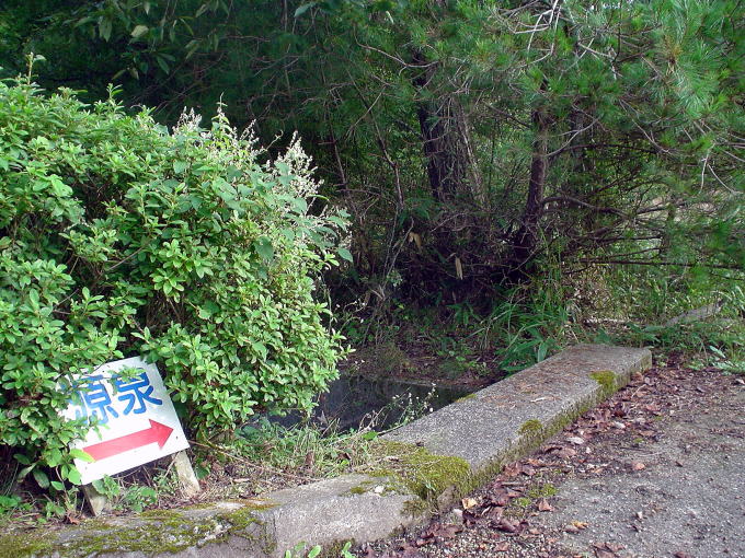 ���������N�̋��y�����s���z