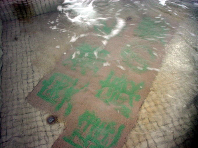 ���������N�̋��y�����s���z