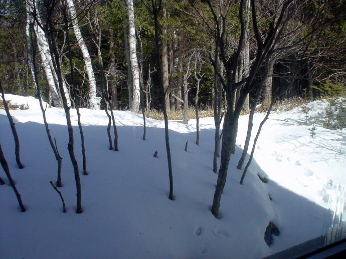 �����ȉ���@�a�C��فy�����s���z