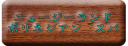 �j���[�W�[�����h�@�|���l�V�A���X�p