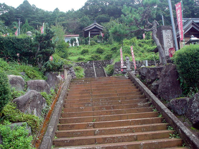 �D�c����y�����s���z