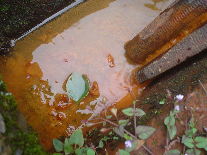 �D�c����y�����s���z