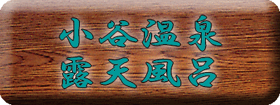 ���J���� �I�V���C