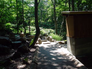 ���J���� �I�V���C