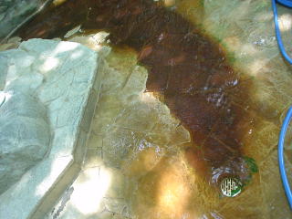 ���J���� �I�V���C