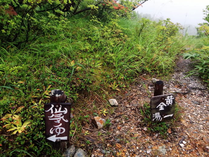 蓮華温泉　黄金湯【温泉奉行所】