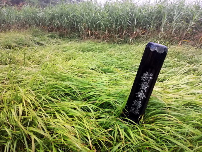 蓮華温泉　黄金湯【温泉奉行所】