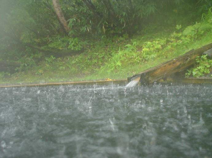 蓮華温泉　黄金湯【温泉奉行所】