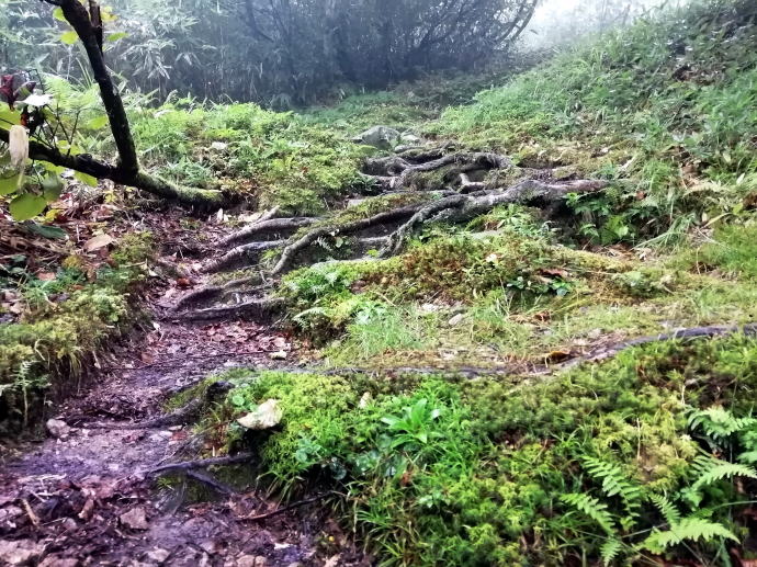 蓮華温泉　三国一の湯【温泉奉行所】