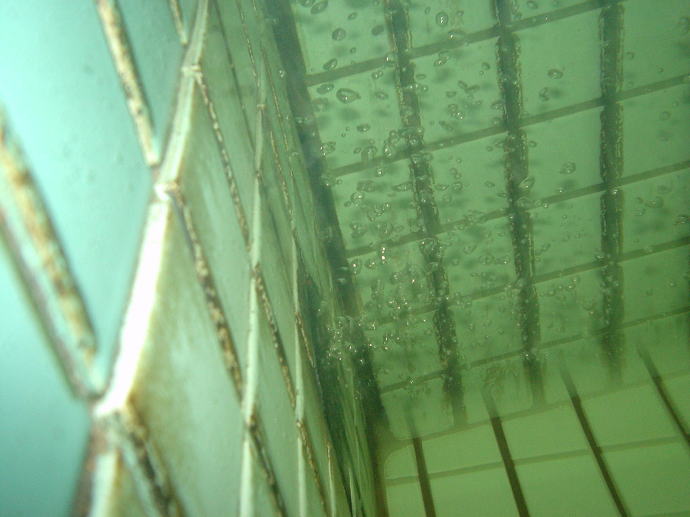 �Z�b���Ƃߒˉ���y�����s���z