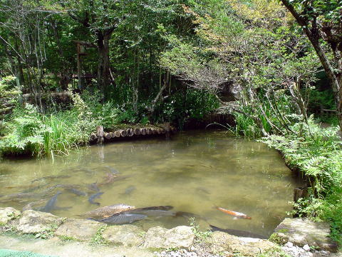 �򕌌��@���[�\�N����y�����s���z