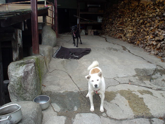 ���Ή���@�_�����y�����s���z