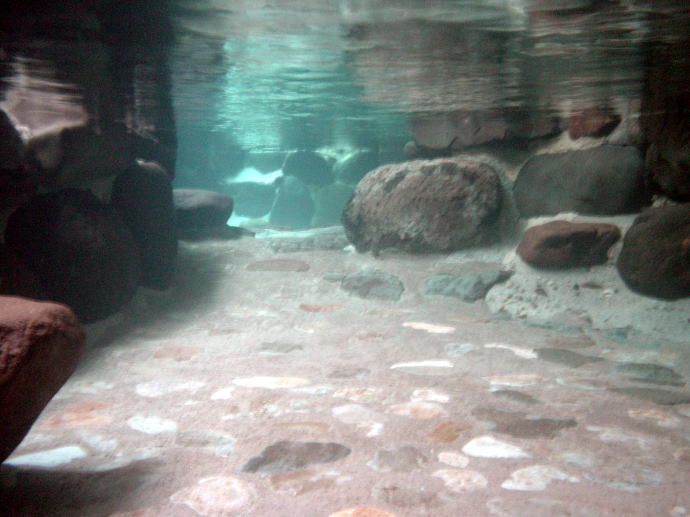 �������@�⏼���فy�����s���z