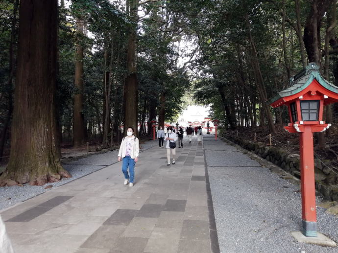 さくらさくら温泉【温泉奉行所】