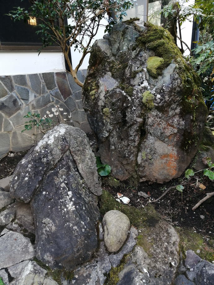 さくらさくら温泉【温泉奉行所】