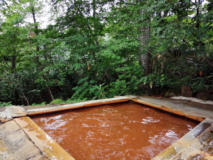 関温泉　中村屋旅館【温泉奉行所】