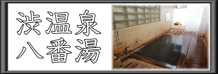 渋温泉　八番湯【温泉奉行所】