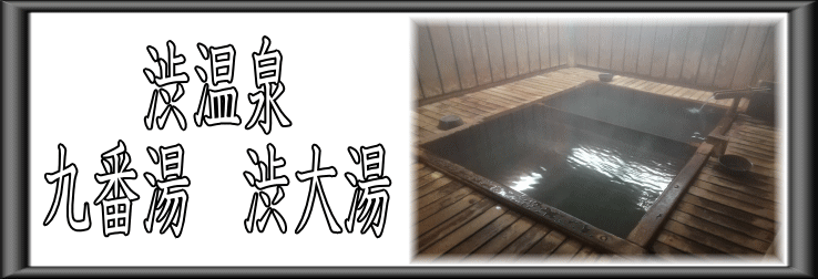 渋温泉　九番湯渋大湯【温泉奉行所】