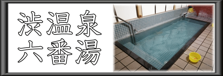 渋温泉　六番湯【温泉奉行所】