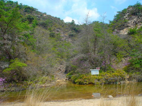 ���ꌧ�@�^���@�z��N�o�n�y�����s���z