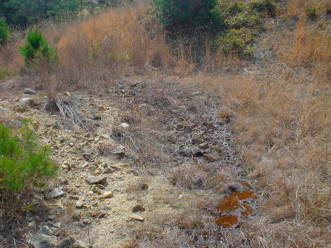 ���ꌧ�@�^���@�z��N�o�n�y�����s���z