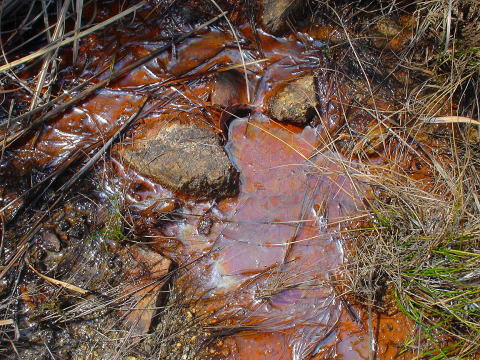 ���ꌧ�@�^���@�z��N�o�n�y�����s���z