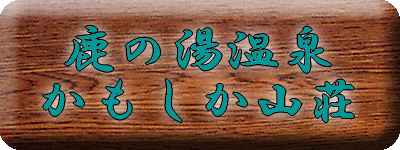 ���̓�����@���������R���y�����s���z