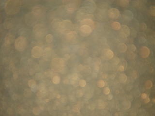 鹿の湯温泉 かもしか山荘【温泉奉行所】