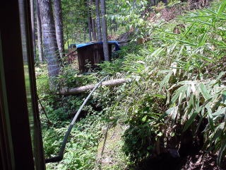 鹿の湯温泉 かもしか山荘【温泉奉行所】