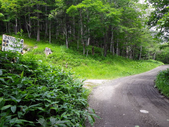 �R�ʋ�����@�e���W���̓��y�����s���z