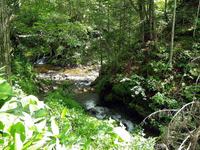 �R�ʋ�����@�e���W���̓��y�����s���z