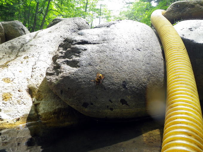 �R�ʋ�����@�e���W���̓��y�����s���z