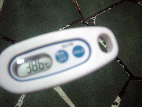 �l������@�ϑP�فy�����s���z