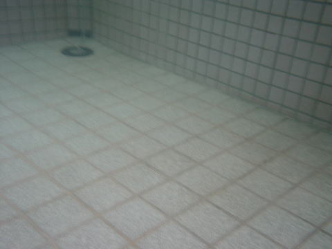 ���z�K����@�V���y�����s���z