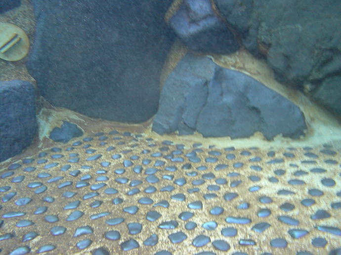 ����������@�Ђ܂��فy�����s���z