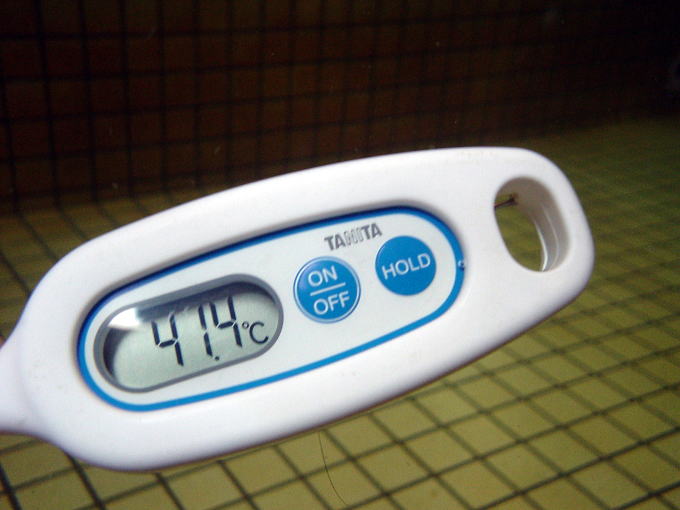 �V���Y����y�����s���z