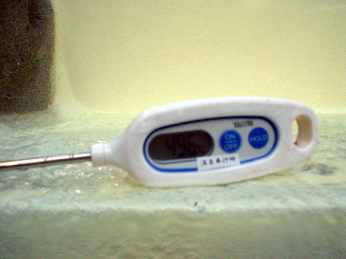 新湯温泉　霧島新燃荘【温泉奉行所】