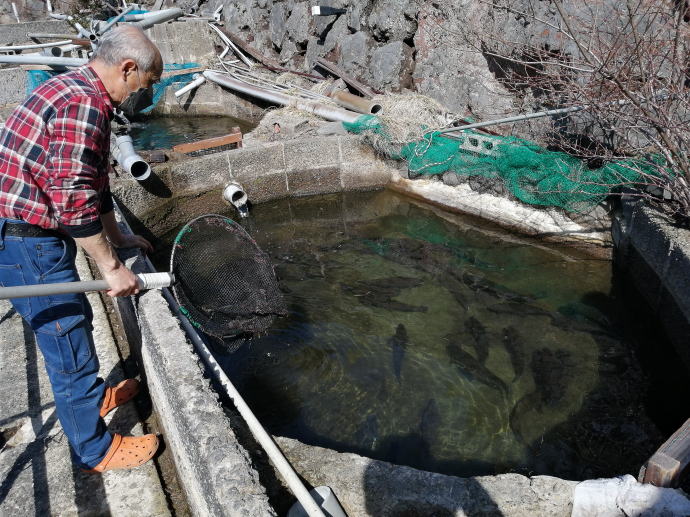 新湯温泉　霧島新燃荘【温泉奉行所】