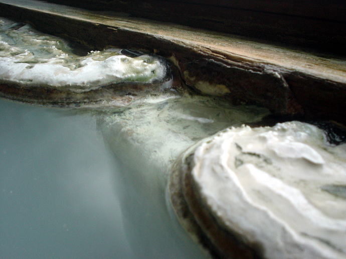 白骨温泉　かつらの湯　丸永旅館【温泉奉行所】