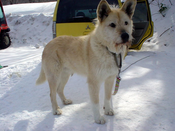 白骨温泉　かつらの湯　丸永旅館【温泉奉行所】