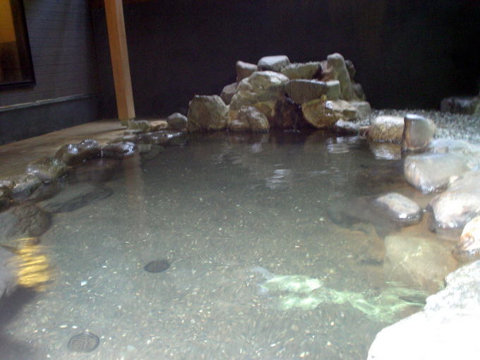 �{��J����y�����s���z