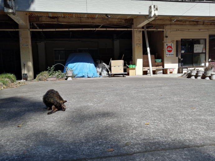 高隈ラジウム猿ヶ城温泉【温泉奉行所】