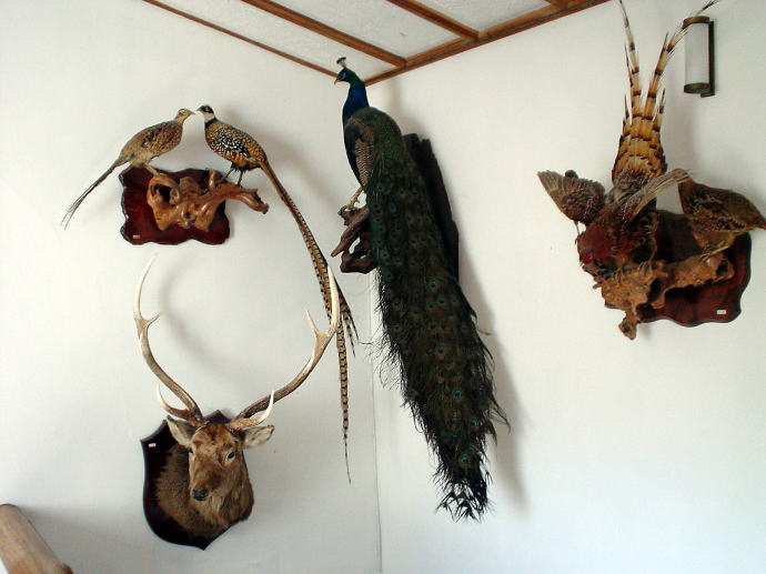 ���ȉ���@���Ă̓��y�����s���z