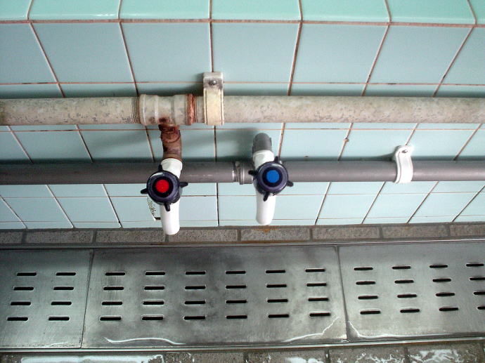 ���ȉ���@��������y�����s���z