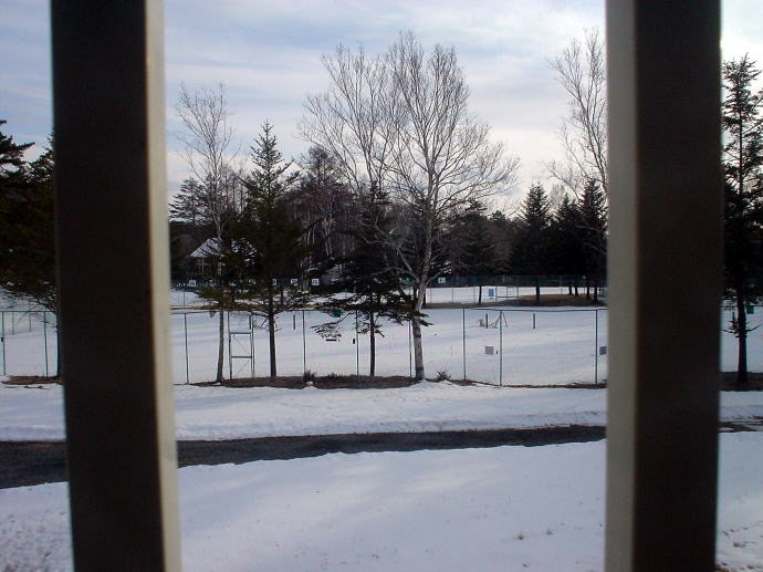 ���ȉ���@��������y�����s���z