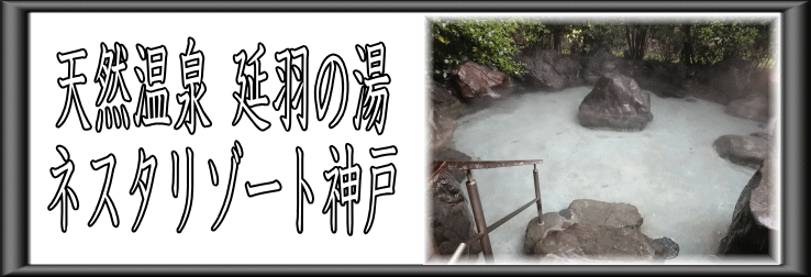 �V�R���򉄉H�̓��@�l�X�^���]�[�g�_�ˁy�����s���z